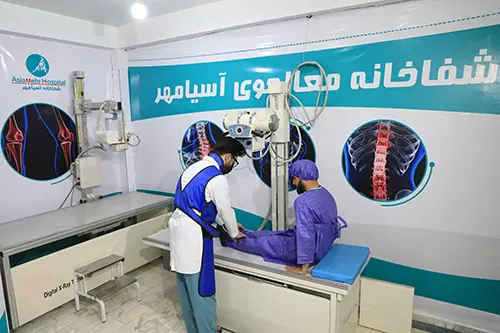 اُرتوپیدی